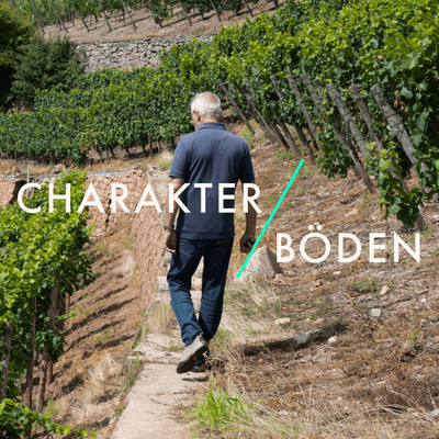 Charakter / Böden - Was großen Wein ausmacht