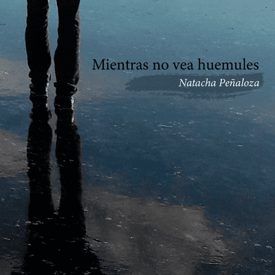 episode Presentación del libro "Mientras no vea huemules", de Natacha Peñaloza artwork