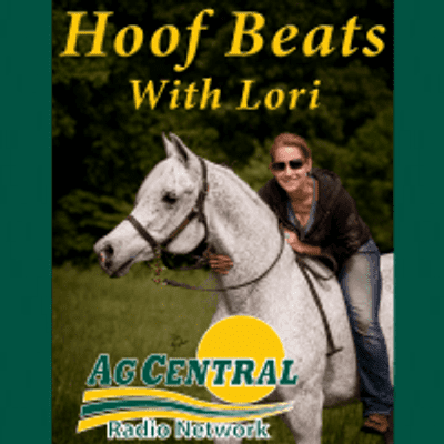 episode 04-11-20 Hoof Beats 2 - Staying Safe and Staying Sane artwork