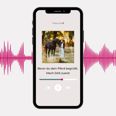 episode Bevor du dein Pferd begrüßt – mach DAS zuerst artwork