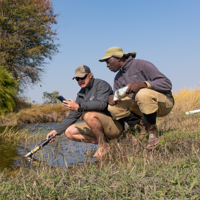 episode Okavango Wilderness Project: A Conversation with Scientists Studying Southern Africa’s “Oasis in the Desert” artwork