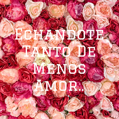 Echandote Tanto De Menos Amor..