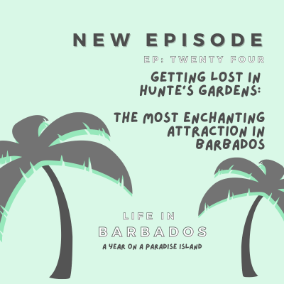 episode Gardens in Barbados: visiting Hunte's gardens, the "most enchanting attraction" in Barbados. artwork