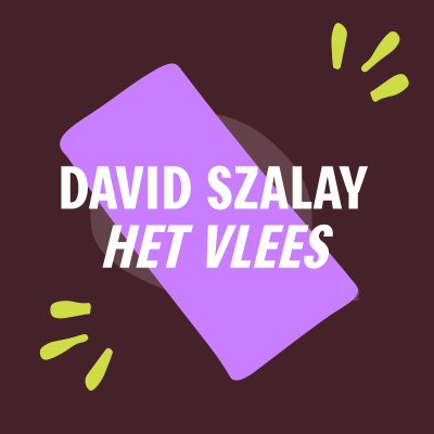 episode Are men okay? | David Szalay - Het vlees artwork