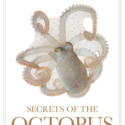 episode Episode 746: Sy Montgomery - Secrets Of The Octopus artwork