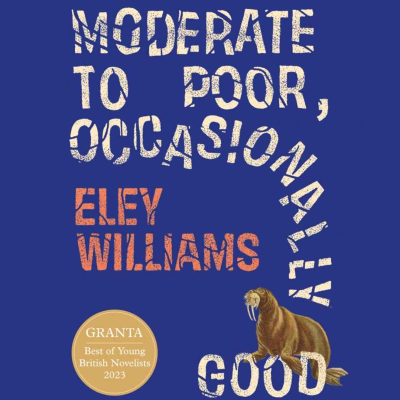 episode Little Atoms 950 - Eley Williams' Moderate to Poor, Occasionally Good artwork
