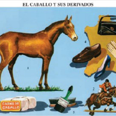 episode Definiendo el término Merceología artwork