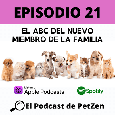 episode Episodio #21 El abc del nuevo miembro de la Familia artwork