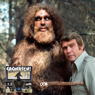 episode SW: 008: The Six Million Dollar Man artwork