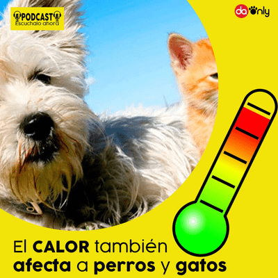 episode Episodio 127: El calor también afecta a perros y gatos artwork