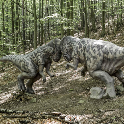 episode Kinderhörspiel und Geschichten - Der Ausflug in den Dinopark artwork