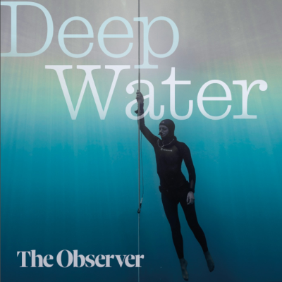 Cover image Deep Water | Tortoise Investigates