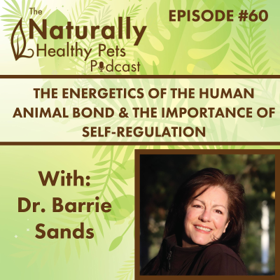 episode EP 60: The Energetics of the Human Animal Bond and the Importance of Self-Regulation with Dr. Barrie Sands artwork