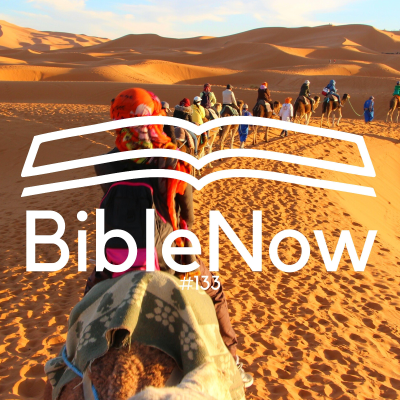 episode BibleNow #133: 4. Mose 8 artwork