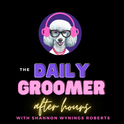episode After Hours: Jay Scruggs artwork