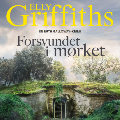 Cover image Forsvundet i mørket