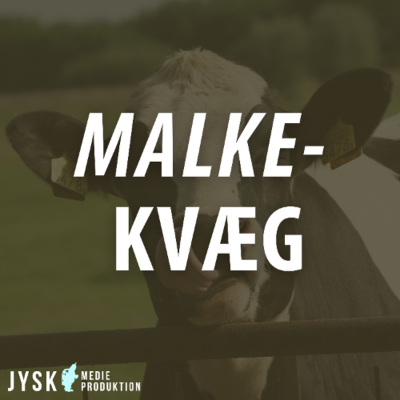episode Malkekvæg 2025 - E46: Klovene først! artwork
