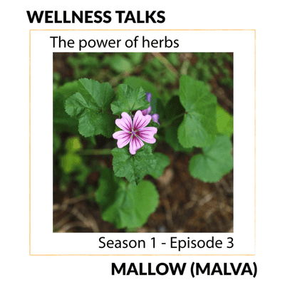 episode The power of herbs - MALLOW artwork