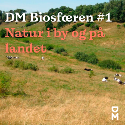 episode DM BIOsfæren #1: Giv naturen en chance – på landet og i byen artwork