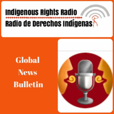 episode Cultural Survival Global News Bulletin August 2025 artwork