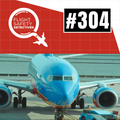 episode Digging Into the Data on Aviation Risks - Episode 304 artwork