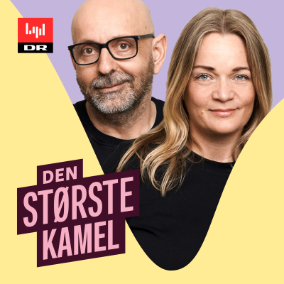 Den største kamel