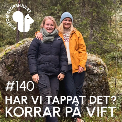 episode 140. Har vi tappat det? Korrar på vift artwork