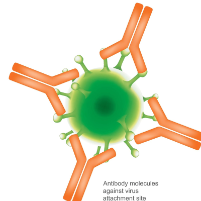episode Virus and the Immunesystem artwork