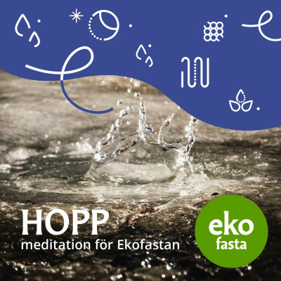 episode HOPP meditation för Ekofastan artwork