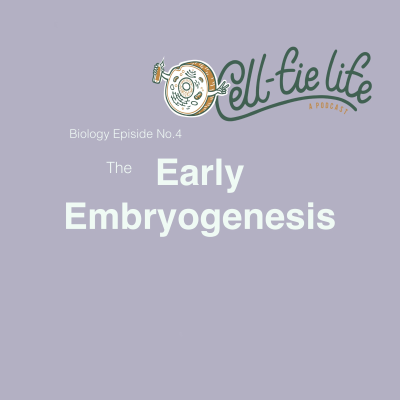 episode MCAT -4- Early Embryogenesis artwork