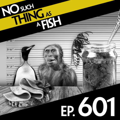 episode 601: No Such Thing As Sausage By Chanel artwork