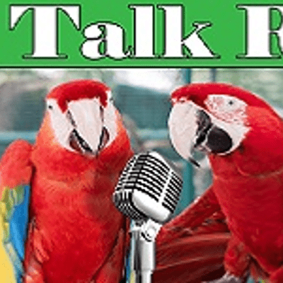 Bird Talk Radio