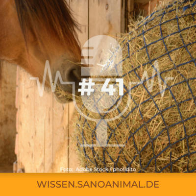 episode Sanoanimal Podcast # 41 - Slowfeeder artwork