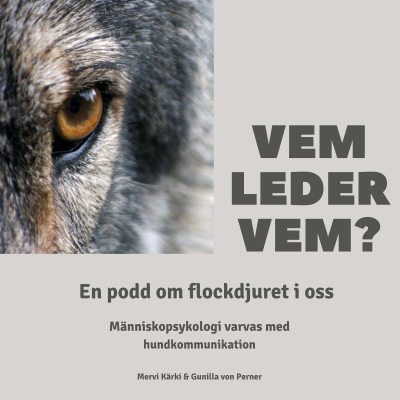 Vem leder Vem?