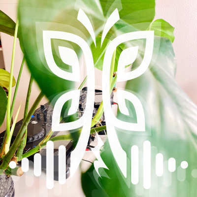 episode David Liedtke for Anacã Tribe Carnaval [02/2021], Berlin artwork