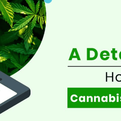 episode How to Start Business in Cannabis That Is Unique and Garner You Higher ROI? artwork
