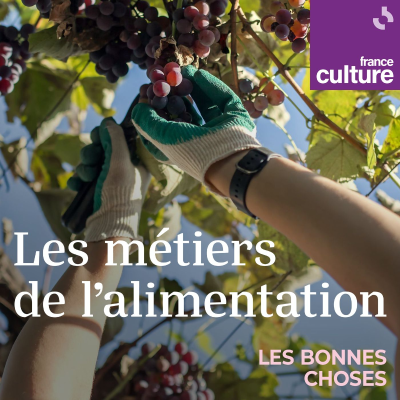 episode Les métiers de l'alimentation 13/13 : Profession marin pêcheur artwork