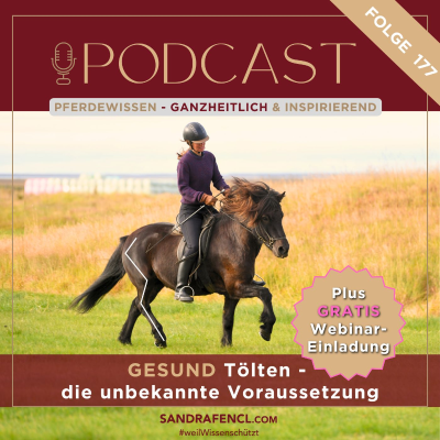 episode 🐎☯Gesund tölten - artwork
