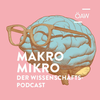 Makro Mikro