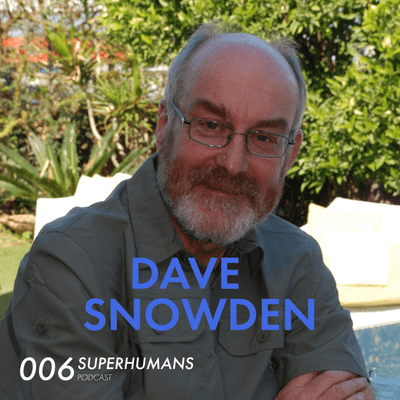 episode Dave Snowden on making sense of complexity through narratives artwork