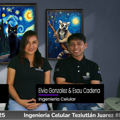 episode Entrevista con Elvia González Ortega – Ingeniería Celular Teziutlán 📱🔧 artwork