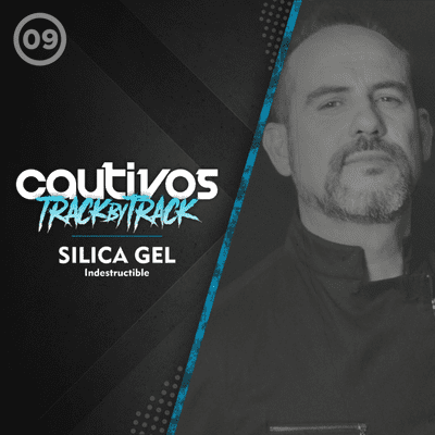 episode E09 Track by Track: Silica Gel - Indestructible artwork