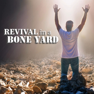 episode Revival in a Bone Yard artwork