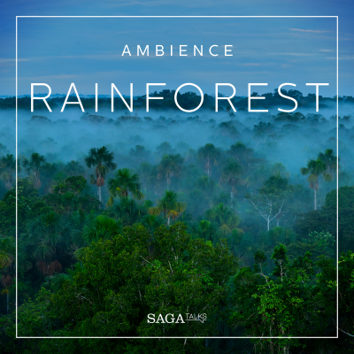 Ambience - Rainforest