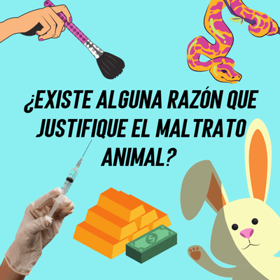 episode ¿Existe alguna razón que justifique el maltrato animal? artwork
