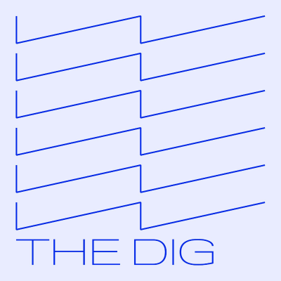 episode The Dig: How Zohran Won w/ NYC DSA artwork