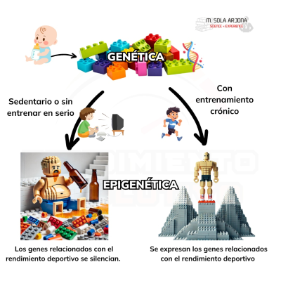 episode 265. ¿Biología o Biografía? Genes vs entrenamiento en el rendimiento. artwork