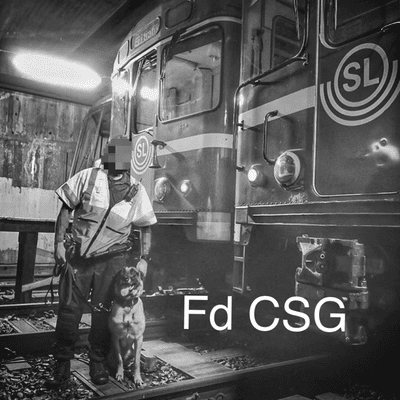 episode (fd) CSG artwork
