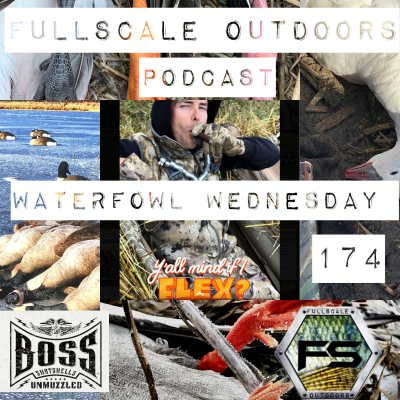 episode Waterfowl Wednesday #174 artwork