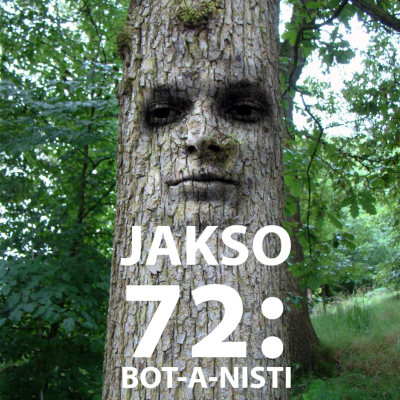 episode Jakso 72: Bot-a-nisti artwork